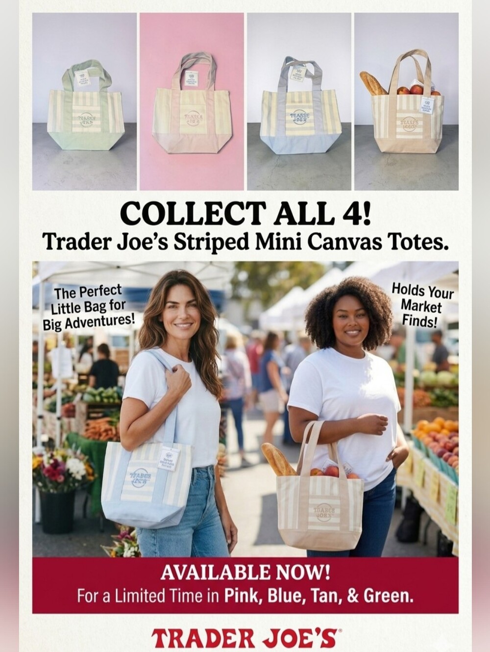Trader Joe's NEW Striped Mini Canvas Totes — Green, Pink, Blue Or Tan